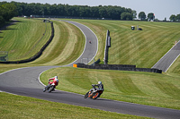 Vintage-motorcycle-club;eventdigitalimages;mallory-park;mallory-park-trackday-photographs;no-limits-trackdays;peter-wileman-photography;trackday-digital-images;trackday-photos;vmcc-festival-1000-bikes-photographs